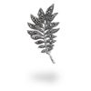 Picture of Marcasite Leaves Brooch in Sterling Silver